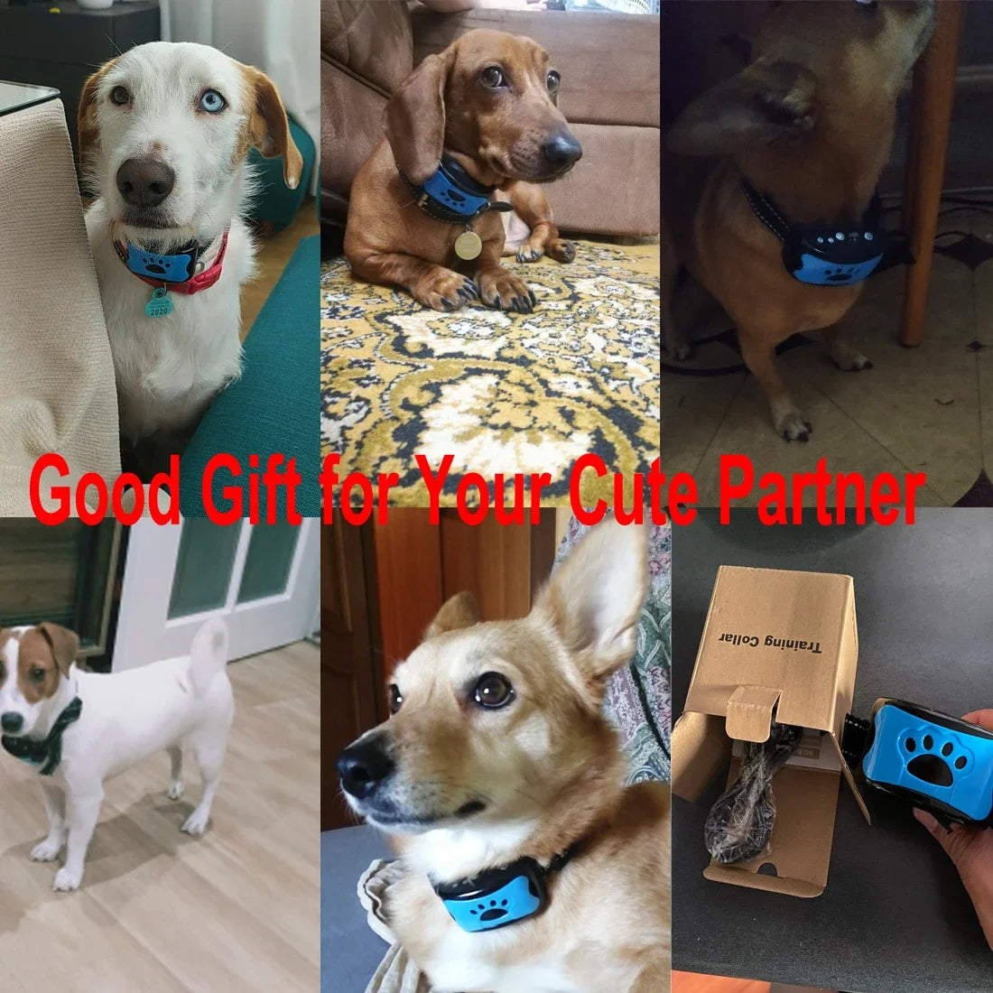 Pet Dog anti Barking Device USB Electric Ultrasonic Dogs Training Collar Dog Stop Barking Vibration anti Bark Collar Dropship